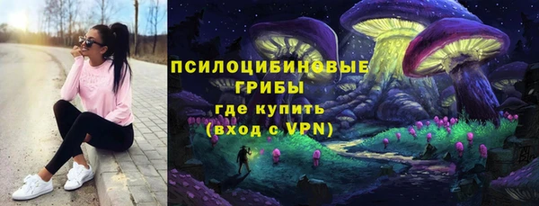 a pvp Алексеевка